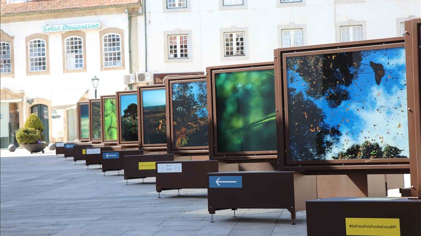 As melhores fotografias de natureza estão em Bragança. Foto: DR