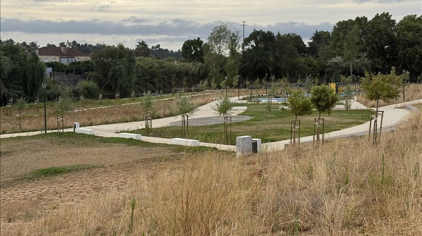 "Sinto-me feliz. Vivemos com outras condições"