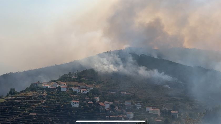 Ardeu "tudo" em Seia. Produtores em risco de fechar atividade depois de incêndios