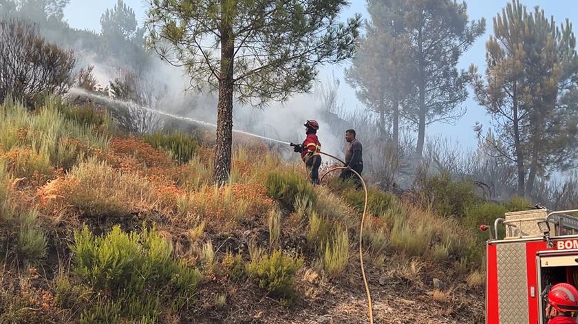Incêndios: Fogo no concelho de Seia está circunscrito