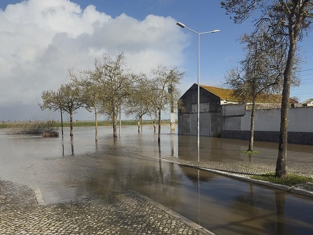 Reportagem João Cunha em Benavente e Samora Correia