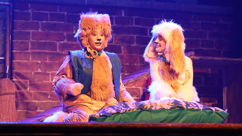 A Dama e o Vagabundo