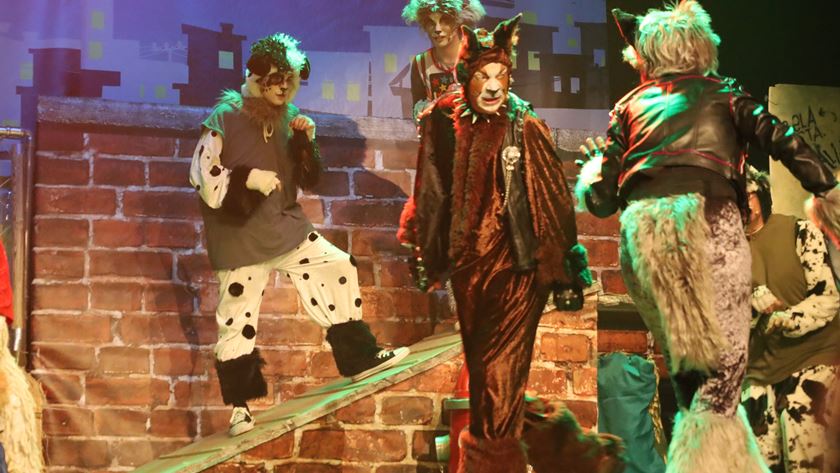 Uma história intemporal