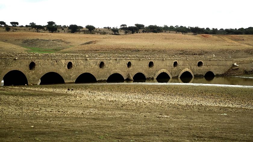 Seca no Alentejo. "É do pior. Não há água nenhuma, nenhuma, nenhuma..."