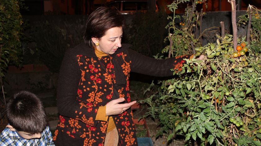 Sónia Ribeiro explica ao filho Gabriel a importância da água tem para todos. Incluindo as plantas. Foto: Liliana Carona/ RR