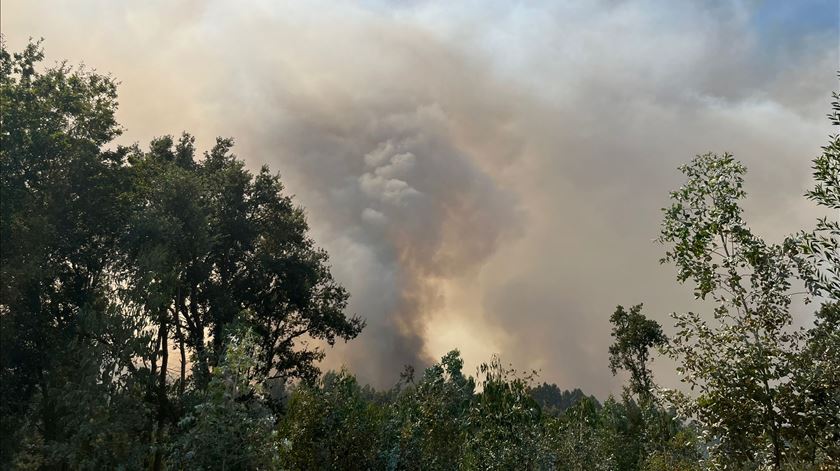 Incêndio em Oliveira de Azeméis Foto: Ana Fernandes Silva/RR