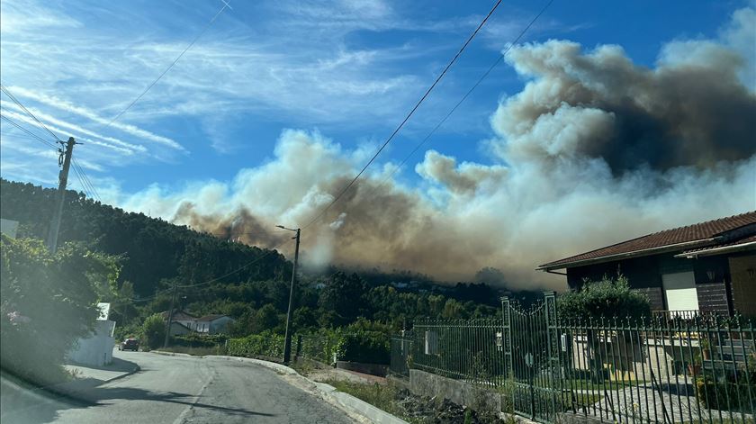 Incêndio em Oliveira de Azeméis Foto: Ana Fernandes Silva/RR