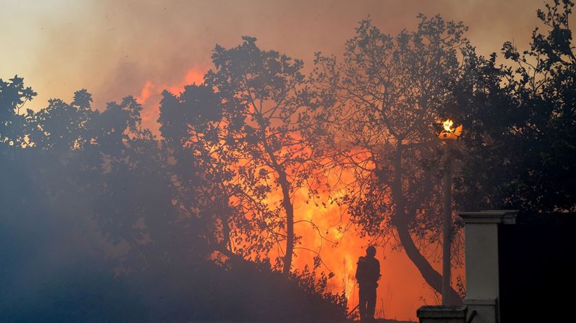 Incêndio ameaça casas em Setúbal. Foto: Rui Minderico/Lusa