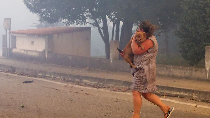 incêndio na Lousã, Foto: Paulo Novais: Lusa 161017