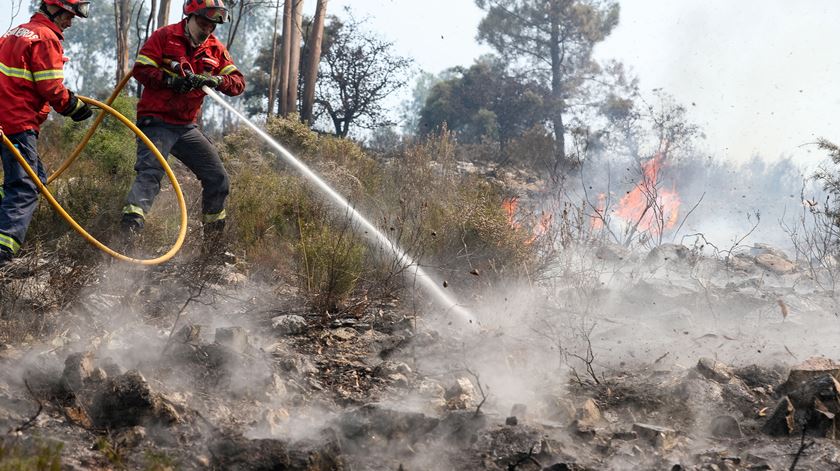 Foto: Paulo Novais/Lusa