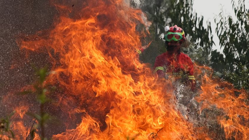 Incêndio em Mação  Foto: Paulo Novais/Lusa