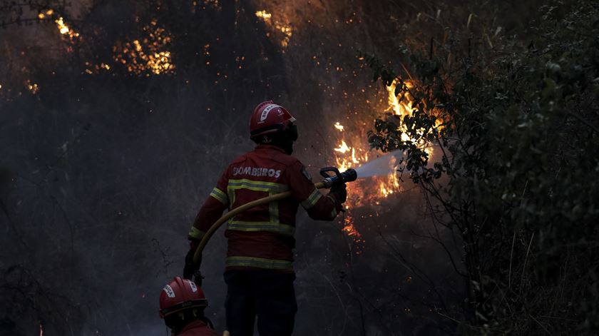 Incêndio em Mação deixou rasto "desolador" diz bispo. Foto: Paulo Novais/Lusa