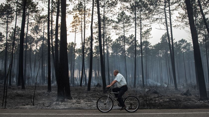 Foto: Paulo Cunha/Lusa