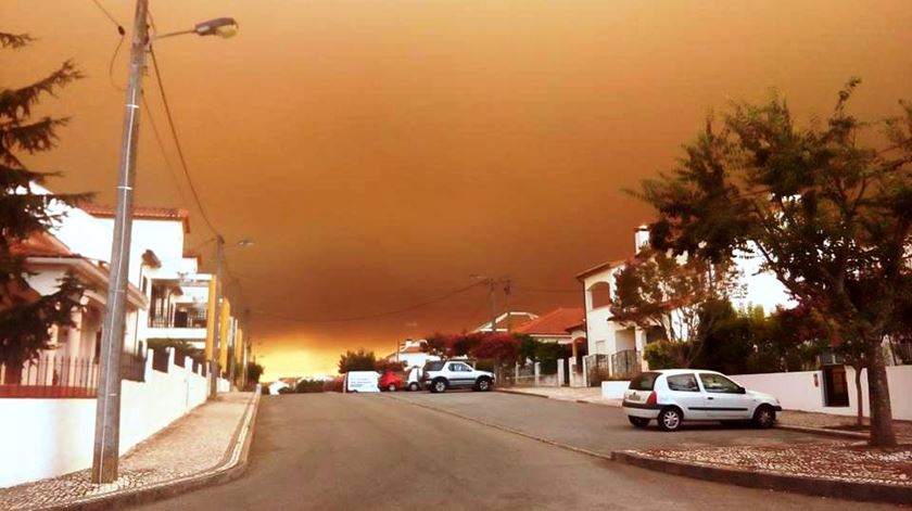 Incêndio de Nisa poderá estar dominado ainda esta tarde. Foto: Filipa Reizinho