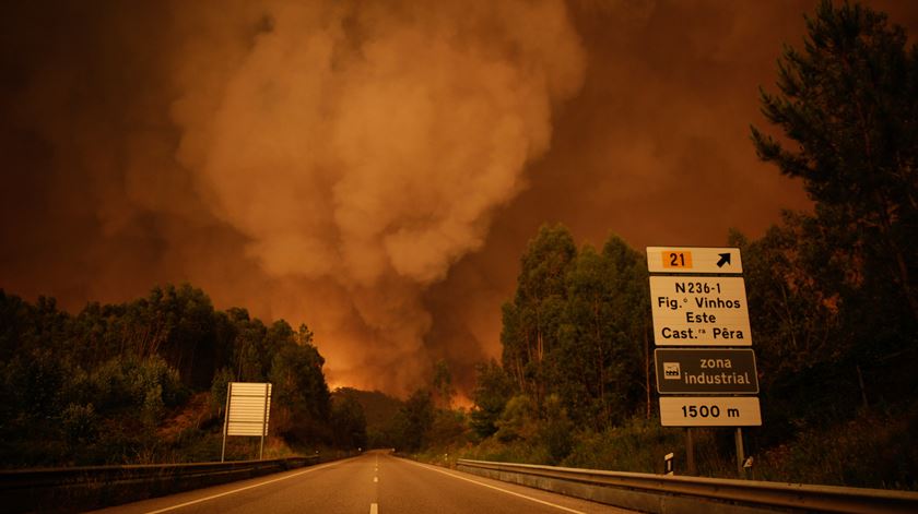 A combater o incêndio de Pedrógão Grande estão mais de 1500 bombeiros, apoiados por 12 meios aéreos e mais de 460 veículos
