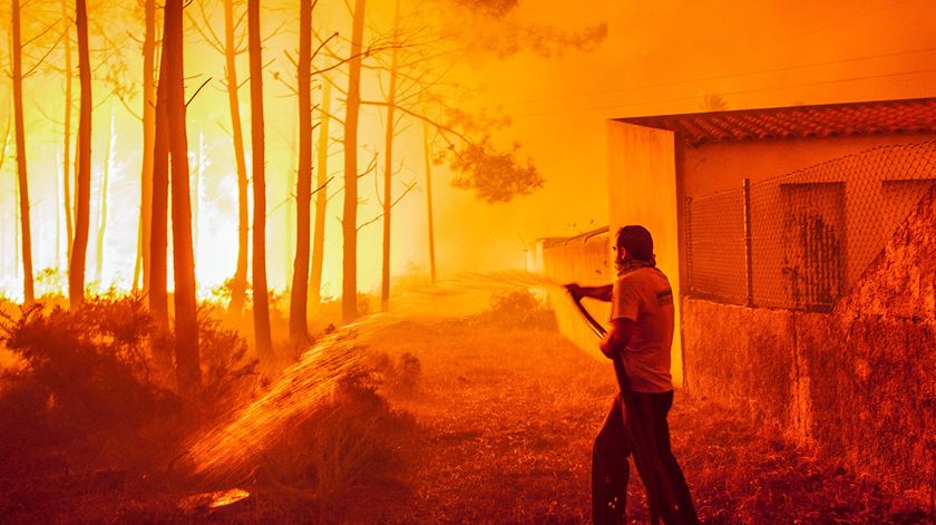 Um popular combate um incêndio em Vieira de Leiria na Marinha Grande, 161017. Foto: Ricardo Graça/Lusa