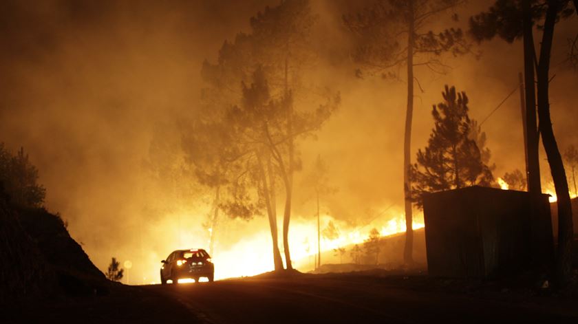 Chamas em Vila de Rei. Foto: Paulo Cunha/Lusa