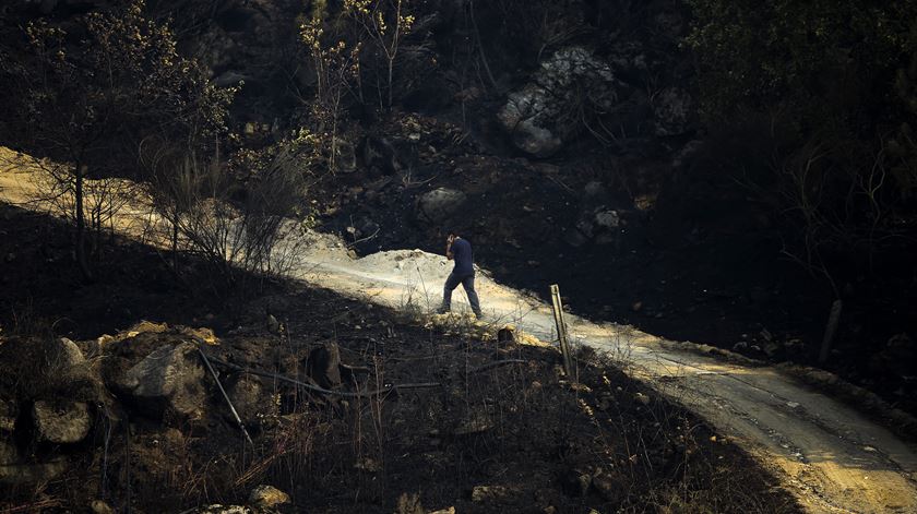 Incêndios devastaram Portugal em 2017. Engenheiros florestais querem ser ouvidos. Foto: Joana Bourgard/RR