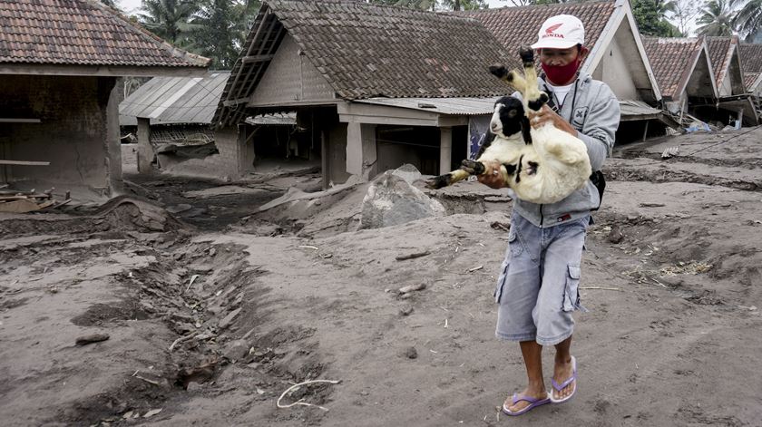 Famílias salvam os seus animais. Foto: Ammar/EPA