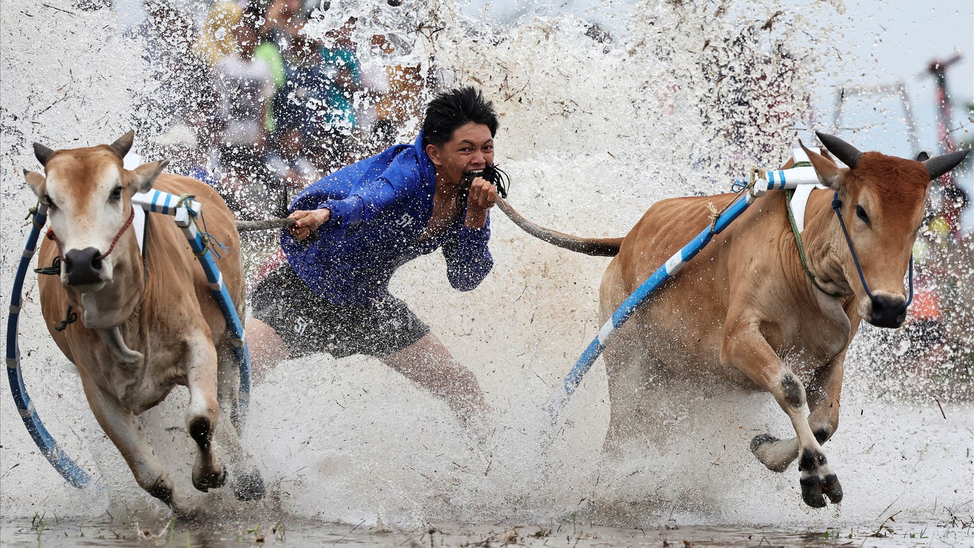 Gritos pela vida, medalhas e a corrida mais louca do mundo: As fotos que marcaram a semana