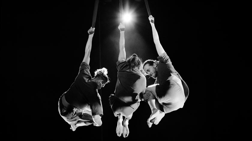 Infinito. Foto: Erva Daninha