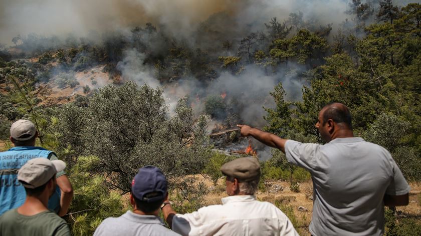 A Turquia regista atualmente os piores incêndios da última década, com quase 95 mil hectares ardidos. Foto: ERDEM SAHIN/ EPA