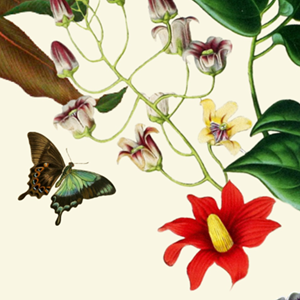 Jardins do Marquês: conheça o cartaz
