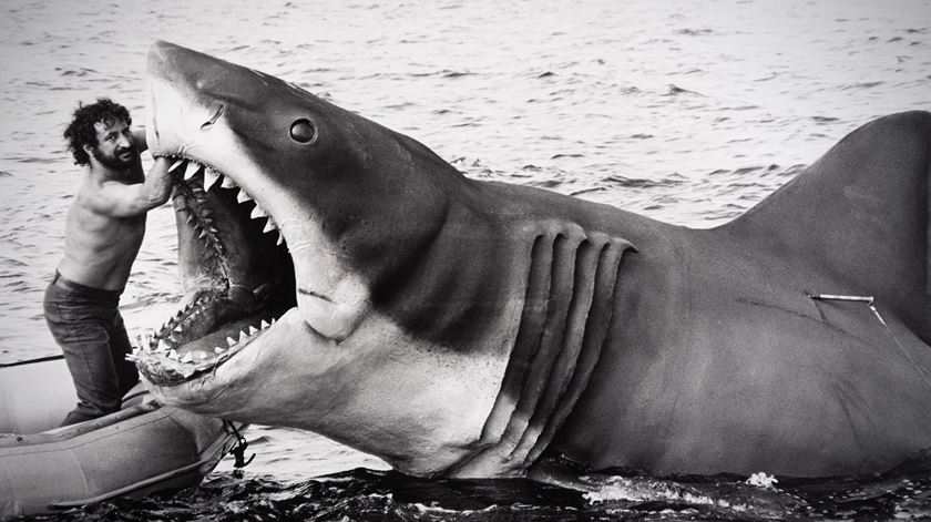 "Tubarão" faz 50 anos. Spielberg conta histórias e mostra imagens inéditas em documentário. Foto: Courtesy of Universal Studios Licensing LLC