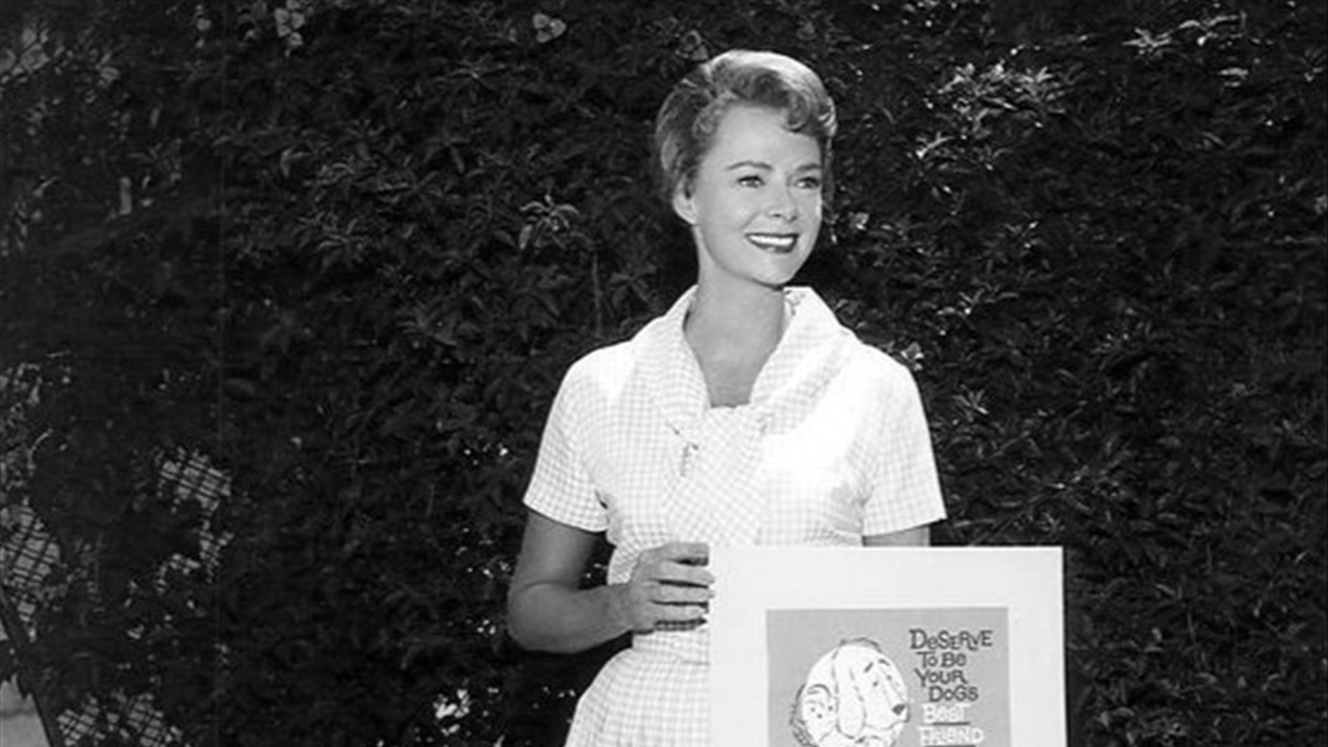 Adeus à Estrela: June Lockhart, a Mãe de 'Lassie' e 'Lost in Space', Parte aos 100 Anos!
