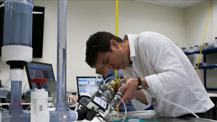 Extinção da FCT preocupa estudantes e investigadores portugueses no Reino Unido