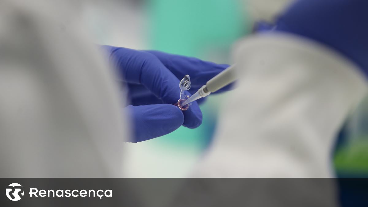 Nearly 40% of Cancers Globally Are Preventable: WHO Study - News Directory 3