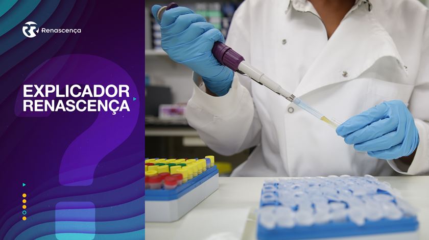 Caso de lepra confirmado na Madeira. Há motivos para alarme?