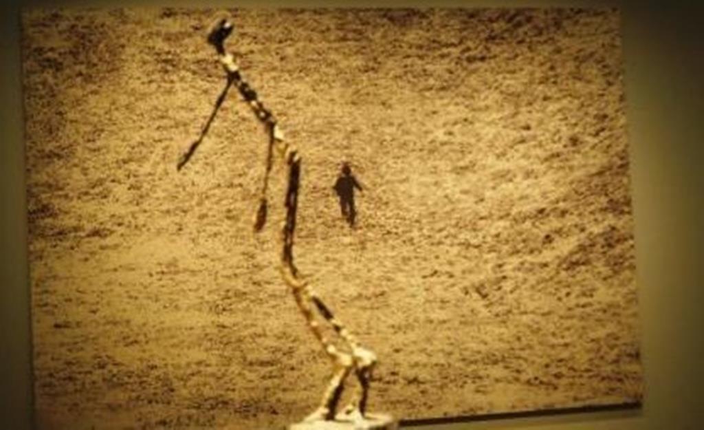 Escultura L' Homme qui chavire de Giacometti. Foto: DR Escultura L' Homme qui chavire de Giacometti. Foto: DR
