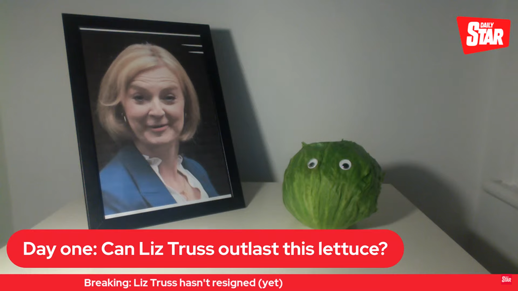 Quem resiste mais tempo: a primeira-ministra Liz Truss ou uma alface?