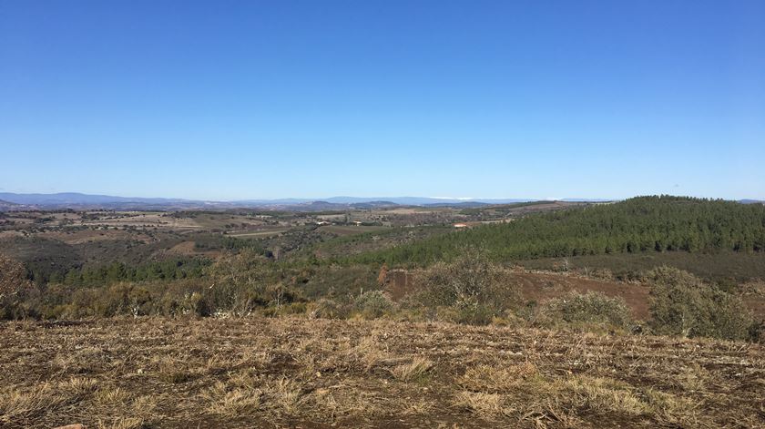 Lugar onde vai nascer o mosteiro trapista de Palaçoulo. Foto Olímpia Mairos/RR