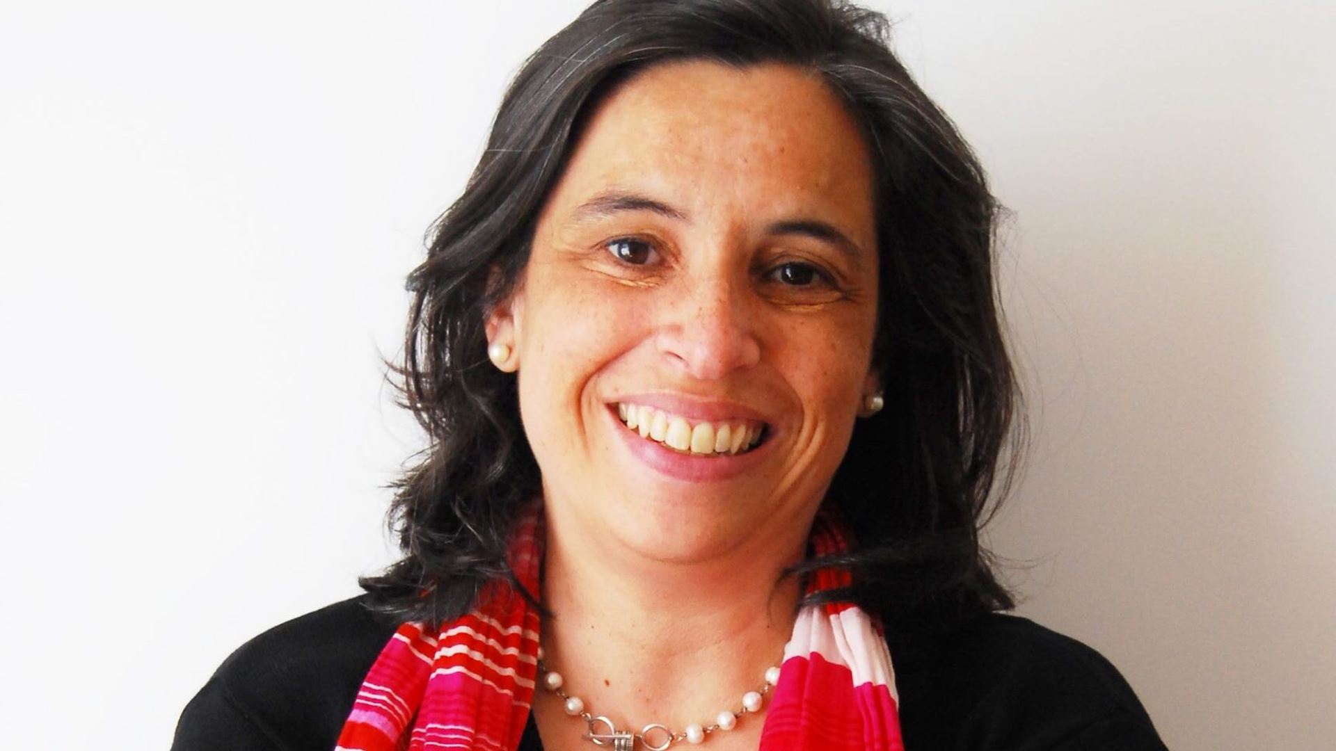 Luísa Neto proposta pelo PS com acordo do PSD como candidata a provedora de Justiça