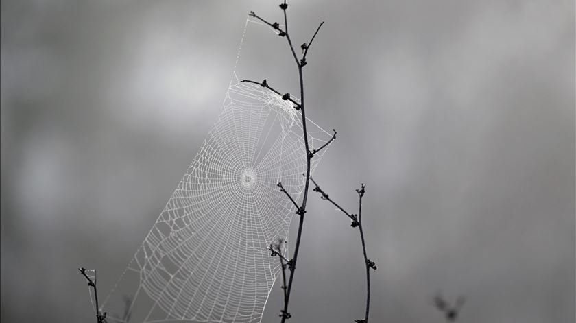 Sinais das alterações climáticas bateram recordes em 2024