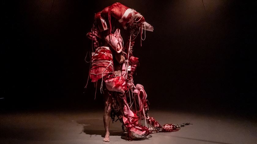 Lutum. Foto: Erva Daninha