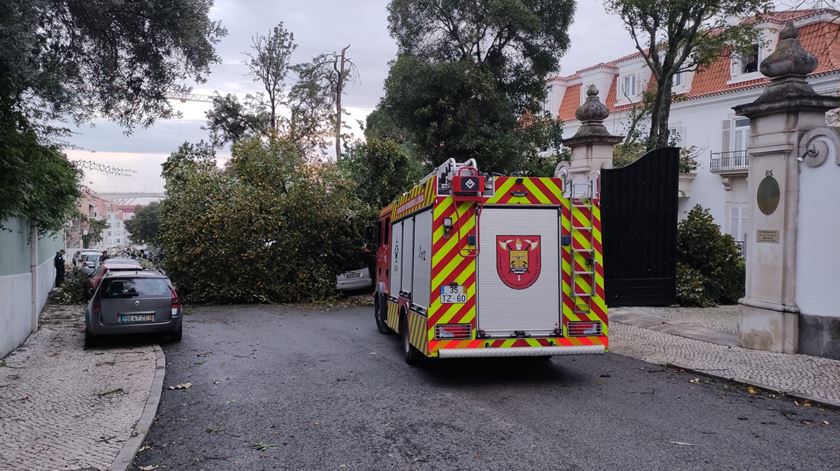 Estragos no Alto de Santo Amaro em Lisboa. Foto: Filipe d