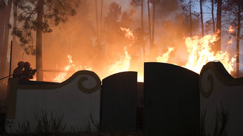 Foto: Paulo Cunha/Lusa