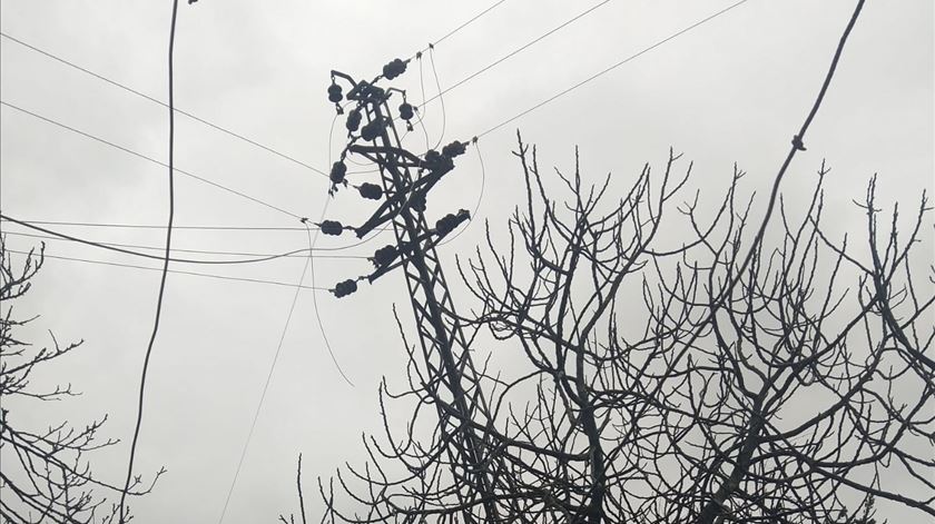 Consequências do mau tempo em Macieira da Maia, Vila do Conde. Foto: EDP Distribuição