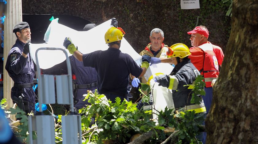 É "muito prematuro" indicar razões para queda da árvore na Madeira, dizem peritos