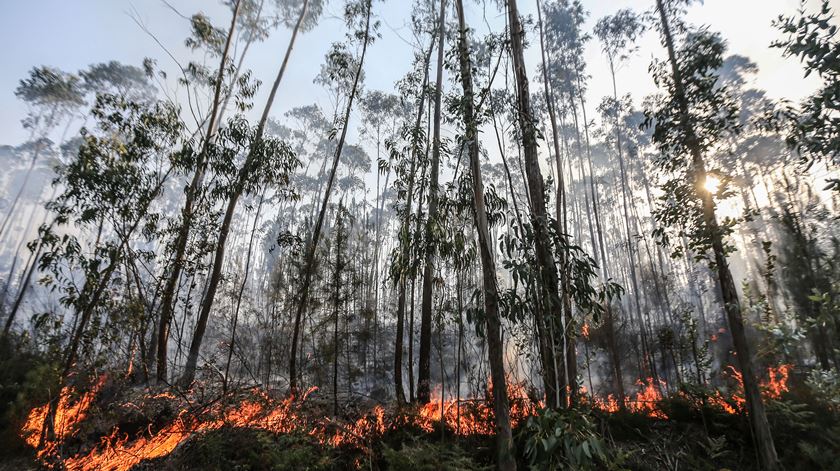 Foto: Miguel A. Lopes/ Lusa