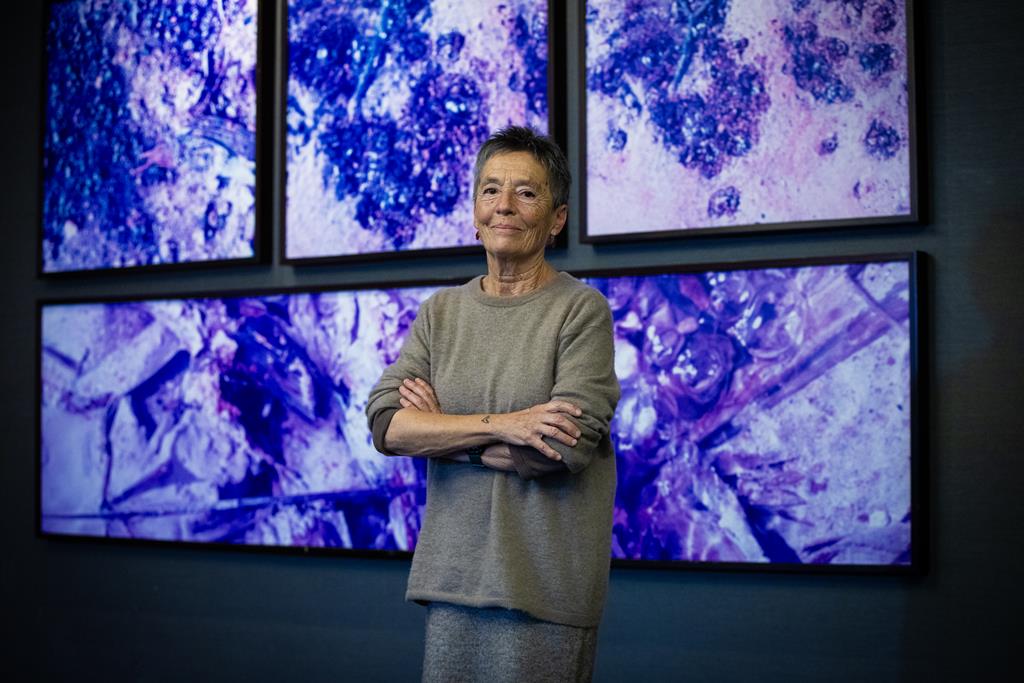 Maria João Pires tem Belgais à venda: “Já não sou pianista”