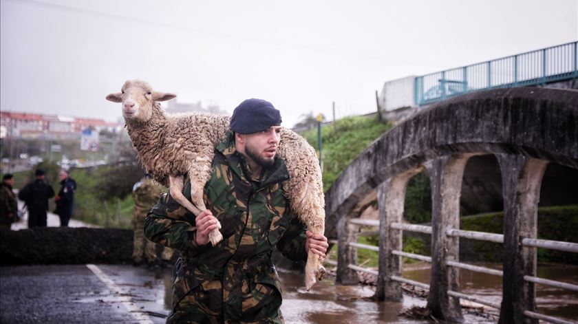 🔴 Agravamento do mau tempo, risco de cheias em vários rios e um morto em Serpa