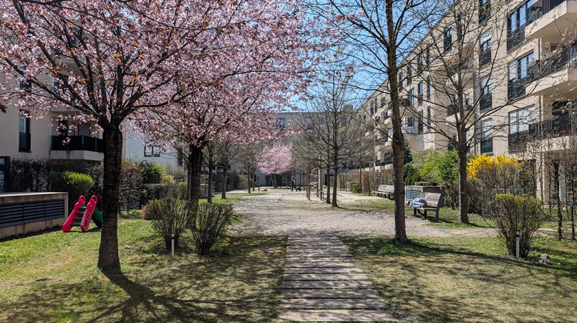 Mau tempo dá tréguas em dia de eleições presidenciais