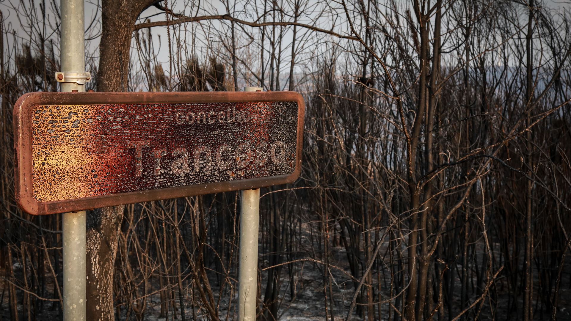 EU pomaga Portugalski pri boju proti požarom, mobilizirana letala Canadair