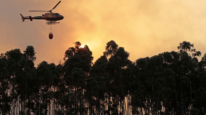 Foto: Filipe Farinha/Lusa