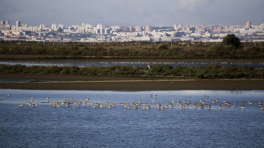 Salinas do Samouco. Reportagem aeroporto do Montijo. Frame de vídeo