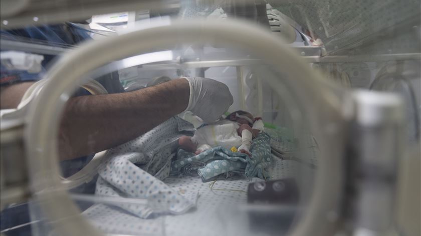 MSF denuncia aumento alarmante da desnutrição em Gaza devido ao bloqueio de ajuda. Foto: MSF